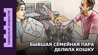 Делили кошку при разводе / 500 килограмм тушенки /  Kakavozik в Жлобине