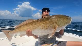 I LOST MY BIGGEST COBIA EVER IN THIS SCHOOL OF GIANT BULL REDFISH