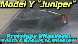 Model Y "Juniper" Prototype Witnessed! Tesla's Secret Is Untold?!