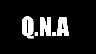 QNA | Gaming King 0088