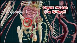 Organs that a person can live without!!