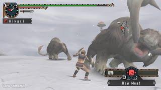 Monster Hunter Freedom 2 [PSP] - Gameplay