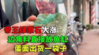 帝王绿原石切开后大涨，边角料直接放鱼缸，顶级蛋面出货一袋子【钻石林老五】