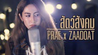 สัตว์สังคม - เมืองแมน Prae x ZaadOat Cover