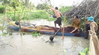 319 / Dở Chà Bắt Cá Ở Miền Tây