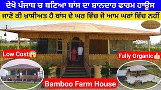 Building The Most Creative Luxury Villa By Bamboo I Best Bamboo House Tour