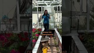 Моя ТЕПЛИЦА - моя ПРЕЛЕСТЬ! Дачный агроном