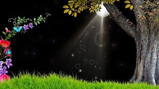 Beautiful Nature Background Video Effects HD | Moon Light Effect | Template Video Background