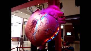 The Heart Attack Machine at The Health Museum in Houston