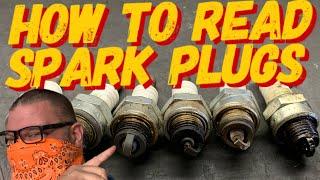 SPARK PLUGS DONT LIE / HOW TO READ SPARK PLUGS