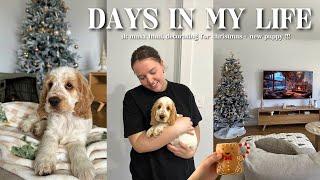 VLOG: home sweet home  picking up our new puppy (!!!) tk maxx haul + decorating for Christmas 