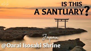 【Amazing Japan】A gate at the beach of the gods @Oarai Isosaki Shrine 2021