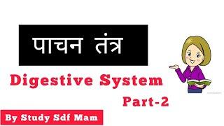 Human Digestive System | पाचन तंत्र | Part-2 By Study Light sd