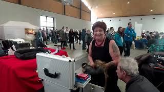 Tierisch gut, Hund, Katze und Aquaristik, Messe Karlsruhe 2018