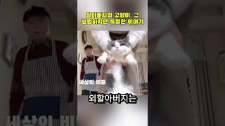 할아버지와 고양이, 그 평범하지만 특별한 이야기. 마음을 울리는 한 마리 고양이의 존재. #고양이이야기 #가족의사랑 #감동스토리