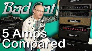 WHICH BAD CAT AMP IS FOR YOU?