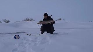 Эти места , всегда радуют крупной щукой ! Рыбалка с комфортом !