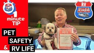 RV Tip: Pet Safety RV