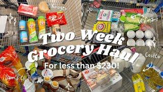 Two Week Grocery Haul For A Family Of Four | For Less Than $230!