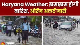 Haryana Weather Update: हरियाणा में बदलेगा मौसम का मिजाज, ओरेंज अलर्ट जारी | Hindi News