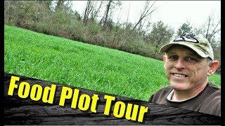 Food Plots for Deer: Cheap Tractor Supply Oats (Update)