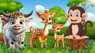 Cute Animal Moments: Cow, Sika Deer, Monkey, Skylark - Animal Videos