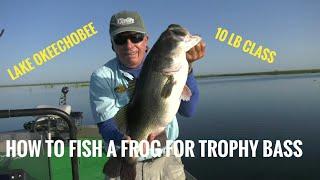 How to fish a frog for trophy Bass