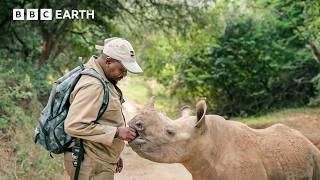 Baby Rhino And Her Guardian Share Heartwarming Bond | Guardians | BBC Earth