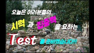 짱낚오동 짱오!! 오늘은 여러분들의 시력과 집중력 테스트(test) 입니다~