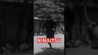 How To Do NINJUTSU Caltrops Techniques from TOGAKURE RYU  #Shorts #Ninjutsu #MartialArts