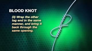 Blood Knot | How-to Knot Series