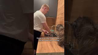 Люблю когда так Ксюша и Антон | Еланцевы #еланцевы #юмор #блогерекатеринбург #семейныйблог