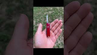 Best small edc multitool #swissarmyknife #edc #staysharp #knifeknerd