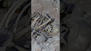 Metal in a Pre Contact Baja California Burial Short #indigenous #bajacalifornia