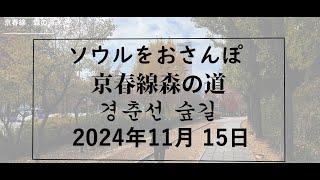 【韓国/한국】ソウルをおさんぽ　vol.291 2024.11.15　京春線森の道編