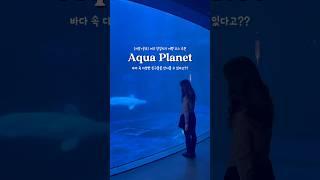 여수 당일치기 여행 코스 ‘아쿠아 플라넷’ #여수브이로그 #여수 #여수관광 #여수여행 #아쿠아플라넷 #아쿠아리움 #여수당일치기 #당일치기