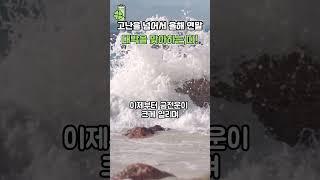고난을 넘어서 '올해' 연말 대박을 맞이하는 띠!  #띠별운세 #풍수 #사주