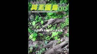 Luminous|150歲的靈性之樹：專注與淨化的大自然能量奇蹟Nature’s Miracle 集中と浄化の自然の奇跡 #fov_vortex #植物  #旅行 @FOV_Vortex