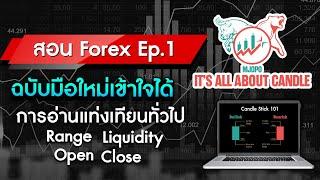 สอนเทรด Forex Ep.1 การอ่านแท่งเทียน Range, Liquidity