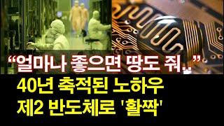 "얼마나 좋으면 땅도 줘" 40년 축적된 노하우 제2 반도체로 '활짝'