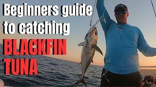 Beginners guide to catching BLACKFIN TUNA