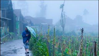 Penampakan Desa Terdingin Jawa Barat, Cikajang-Garut. Inilah Swiss Van Java, Setiap Hari Turun Kabut