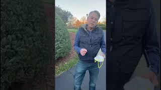 Showhomes Mainline Customer Testimonials 12 20