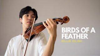 BIRDS OF A FEATHER - Billie Eilish - Violin Cover (Bridgerton Style) - Eric Kim