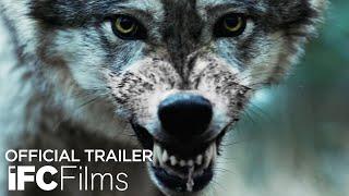 Out Come the Wolves - Official Trailer | HD | IFC Films