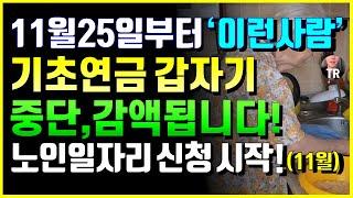 [속보]11월 25일부터 '이런사람' 갑자기 기초연금 중단 감액됩니다! 이유 5가지 정리! 11월말 노인일자리도 신청 시작이 됩니다! 시니어 최신 뉴스!