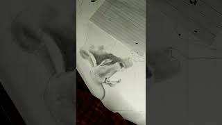 I am making a drowing for cow short video part  4