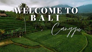 Canggu Bali - Things to do in 2024!