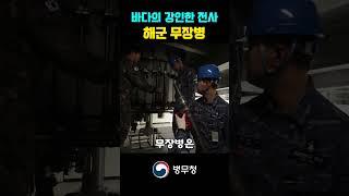 해군 무장장비를 정비합니다 | 해군 무장병