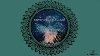 Dion & Meet Shah - Never Felt So Good